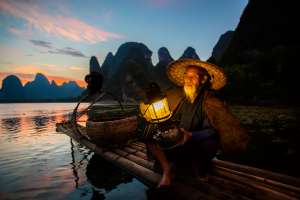 Cormoran sur la rivière Li, Guangxi, Chine du sud-ouest