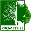Promthe