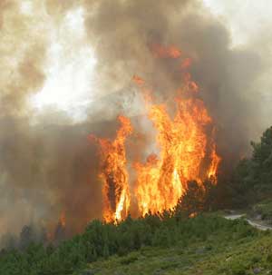 feu de fort