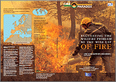 fireparadox