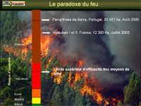 Projet-fireparadox